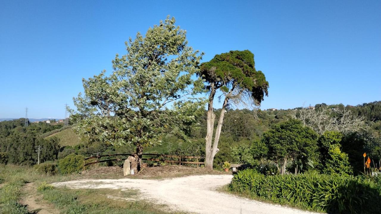 Quinta Do Oratorio Agroturismo Obidos Exterior photo